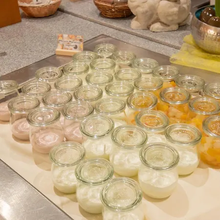 Seehotel Bollmannsruh Hotel