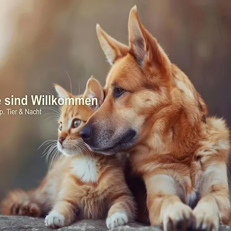 Hotel Seehotel Bollmannsruh 3*